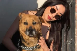 Rayito fue rescatada en Mineral de la Reforma tras ser víctima de maltratoFoto: Especial
