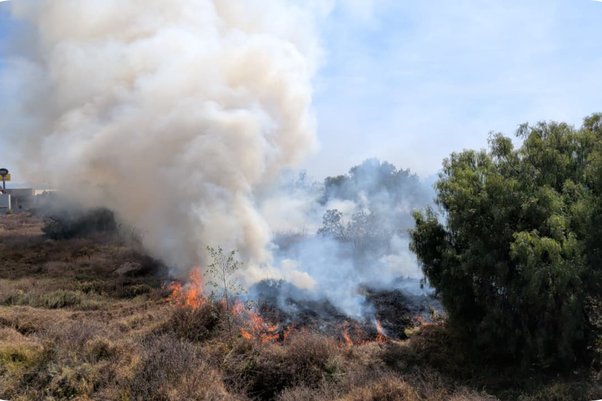 Bomberos del estado sofocan incendio en un terreno baldío en Villas de Pachuca