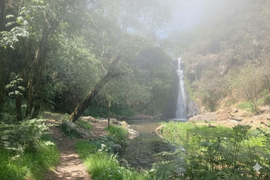 Acaxochitlán, el destino ideal para disfrutar de cascadas y la naturaleza en Hidalgo