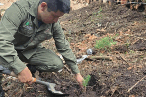 El cierre temporal del Mirador Peña El Cuervo forma parte de una estrategia de conservación y prevención de riesgos en el Parque Nacional El Chico, uno de los pulmones naturales de Hidalgo.