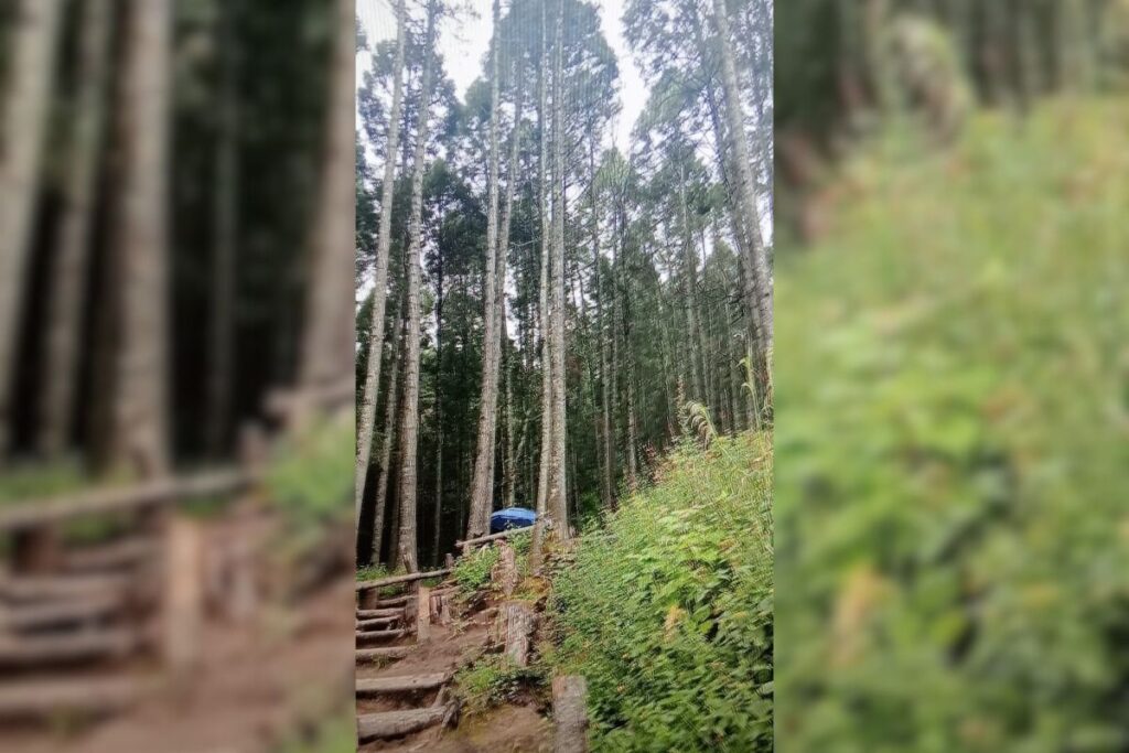 El mirador de El Cedral te permite ver todo desde las alturas: ¡Anímate a visitarlo!