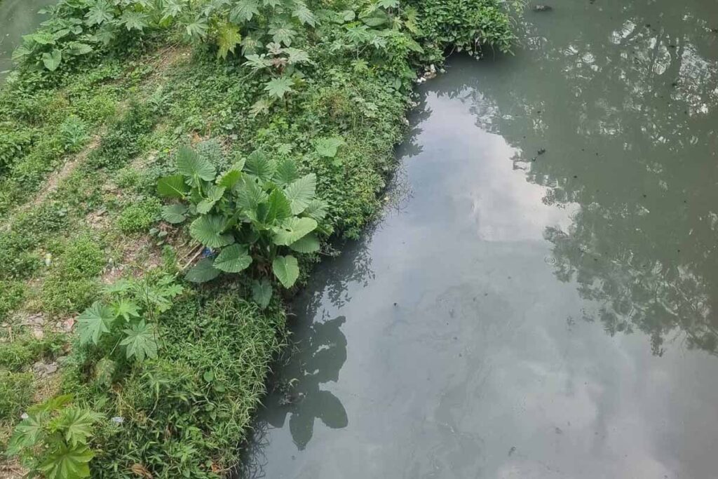 Buscan evitar que continúe la contaminación de los arroyos que atraviesan Huejutla