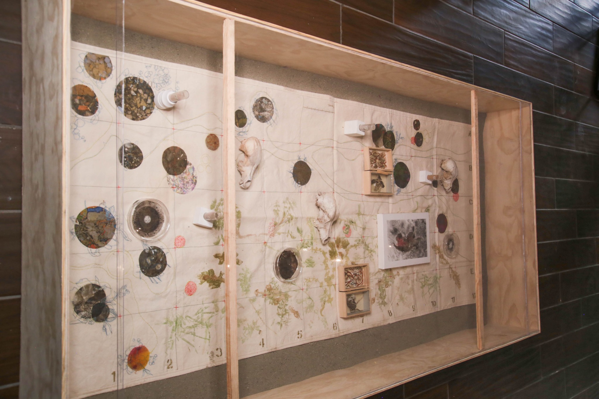 La Secretaría de Cultura de Hidalgo presenta una nueva propuesta artística en la Galería Leo Acosta, cuestionando las formas de pensar sobre el territorio y el espacio