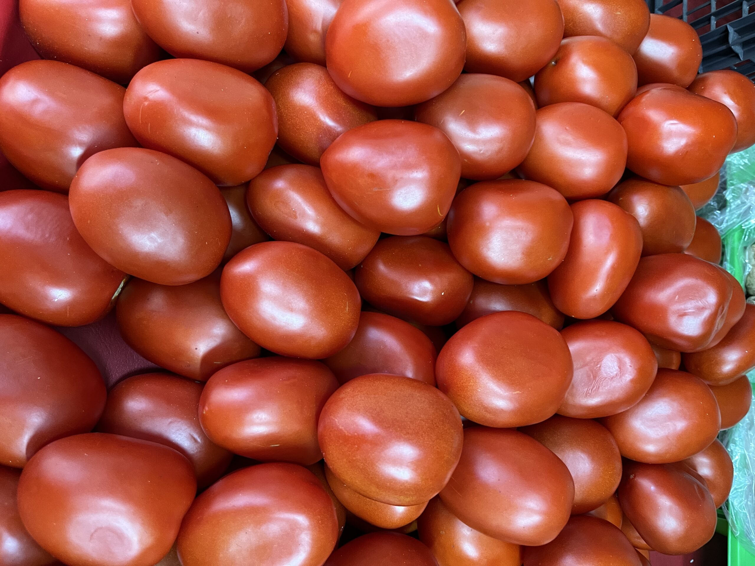 Los comerciantes argumentaron que el precio del jitomate por mayore incrementó Foto: Lizania Zavala