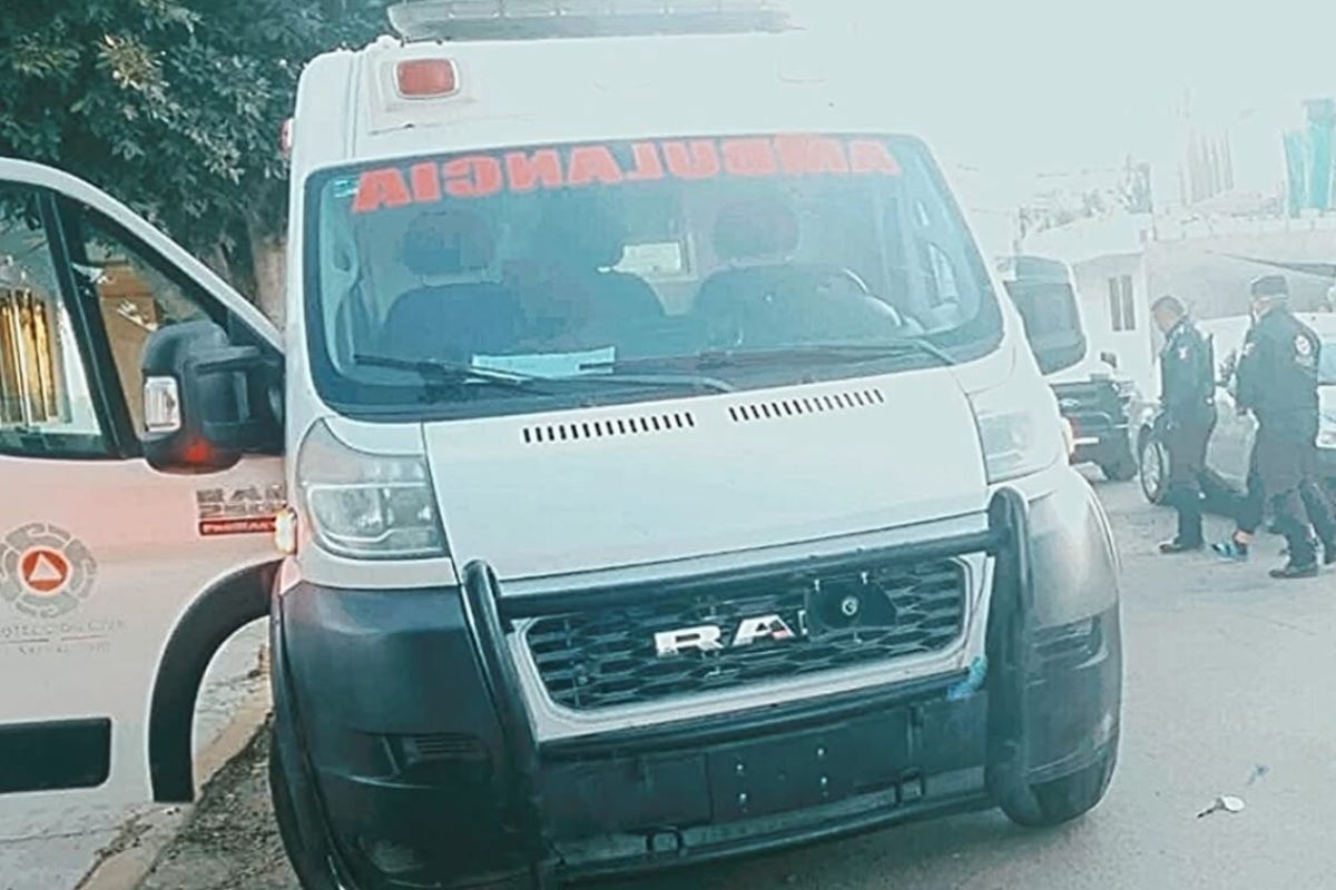 Indignación y debate en Actopan por atropellamiento de un perro en el Parque Urbano