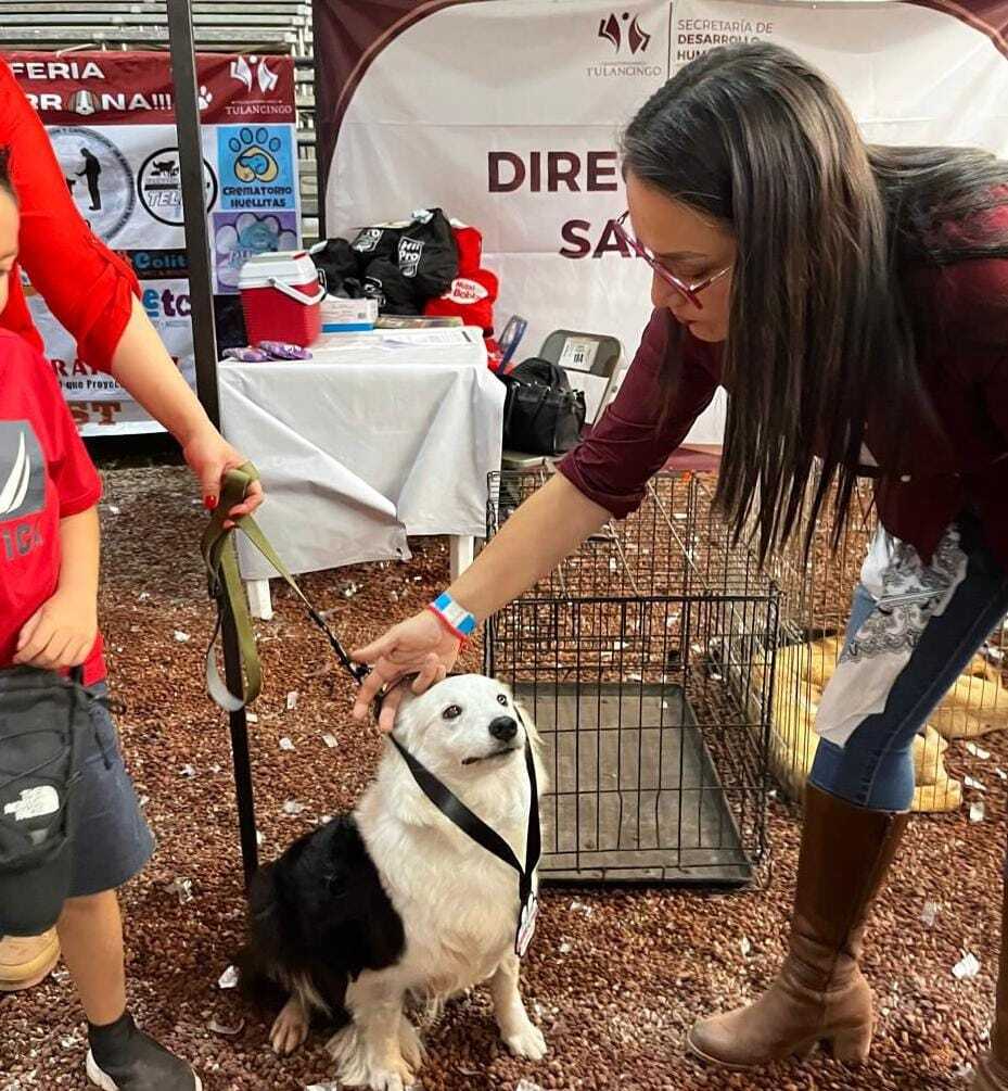 Lorena García Cázares, presidenta municipal, encabeza la iniciativa de protección animal en la Feria de Bienestar Animal