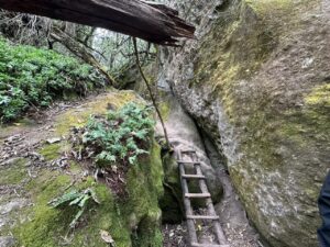 El Contadero tiene una rica historia relacionada con los asaltantes de las minas de plata de Mineral del Chico durante el siglo XVI