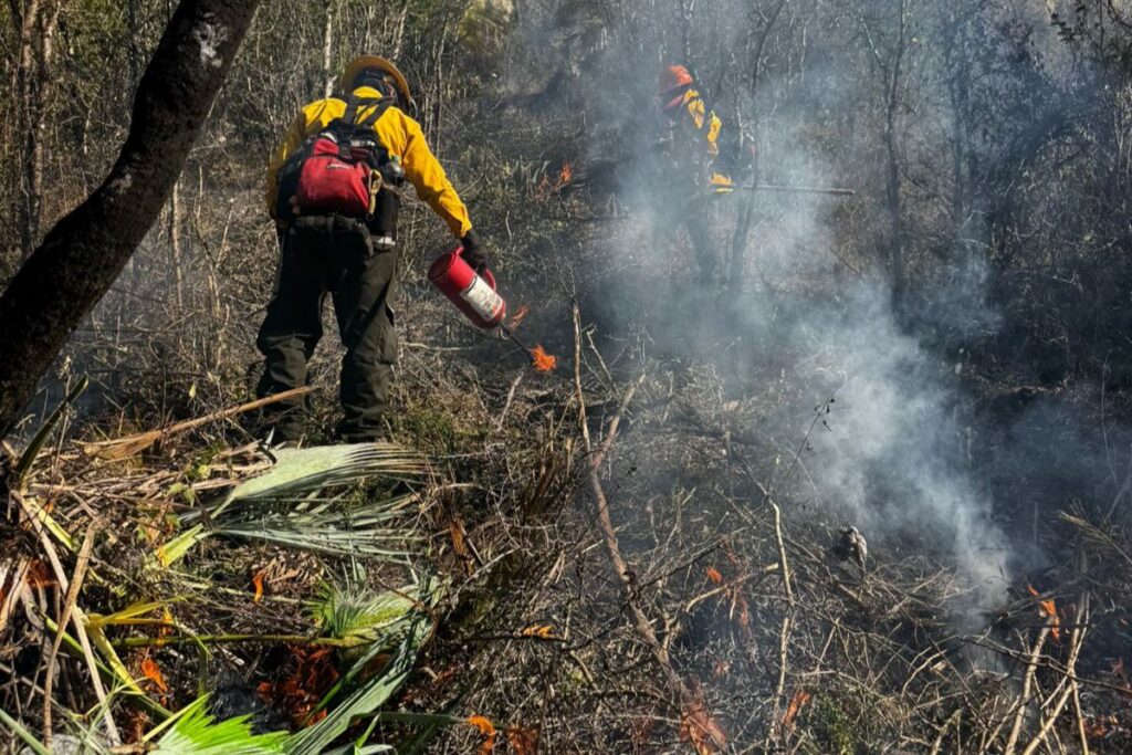 Jorge dedica su vida a combatir incendios forestales en Hidalgo y el país; conoce su historia