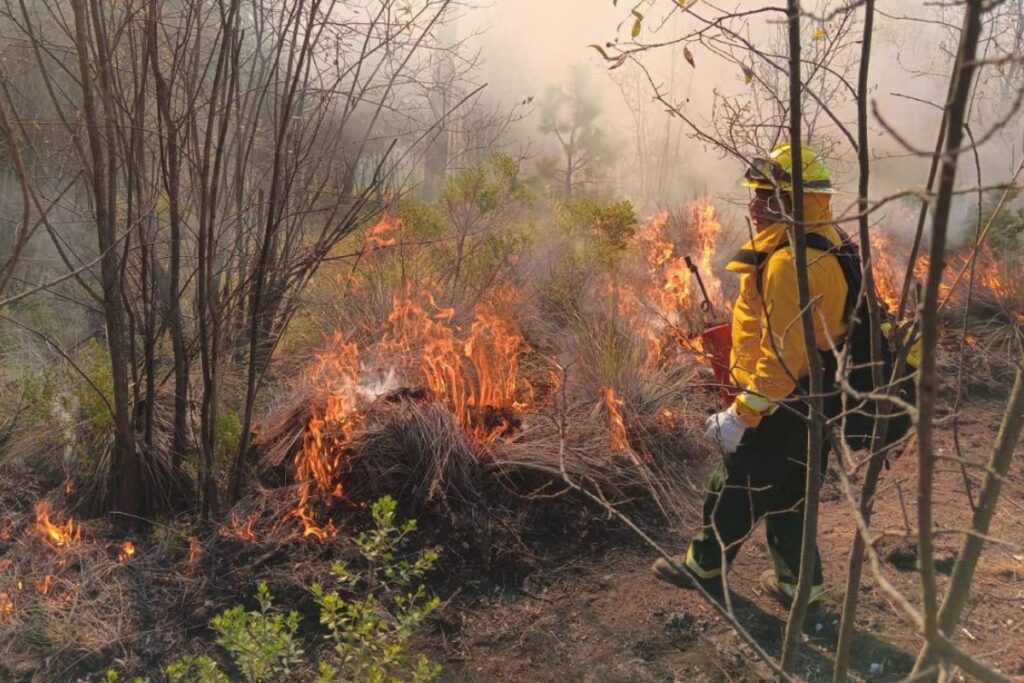 Jorge dedica su vida a combatir incendios forestales en Hidalgo y el país; conoce su historia