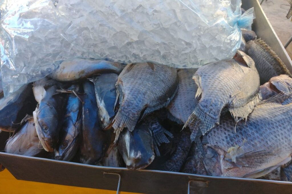 La venta de pescado en Atotonilco el Grande no ha repuntado, pese a inicio de Cuaresma