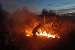 El INAH informó que el incendio fue sofocado sin que, hasta el momento, se tenga un reporte oficial sobre daños directos al patrimonio arqueológico de Tula.