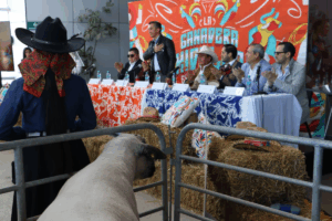 La programación técnica de la Feria Ganadera Hidalgo 2026 incluye exhibición de ganado lechero, ejemplares de alta genética, caballos cuarto de milla y capacitaciones especializadas para el sector ganadero