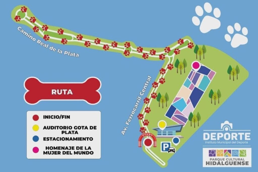 No te pierdas esta carrera con causa a favor de los perritos y gatitos abandonados; ¡inscríbete y apoya!