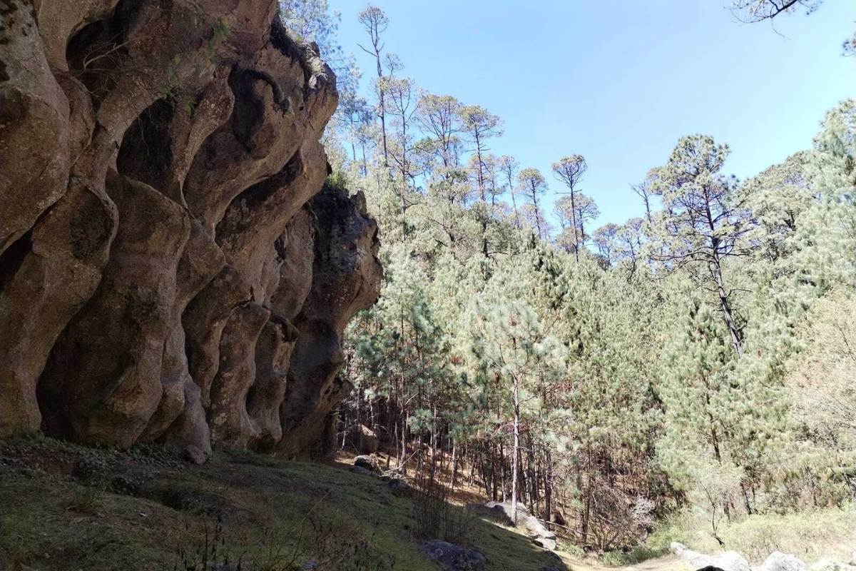 El paisaje de Tres Cañadas se conforma de enormes árboles, rocas singulares y paredes de piedra | Foto: Sara Elizondo