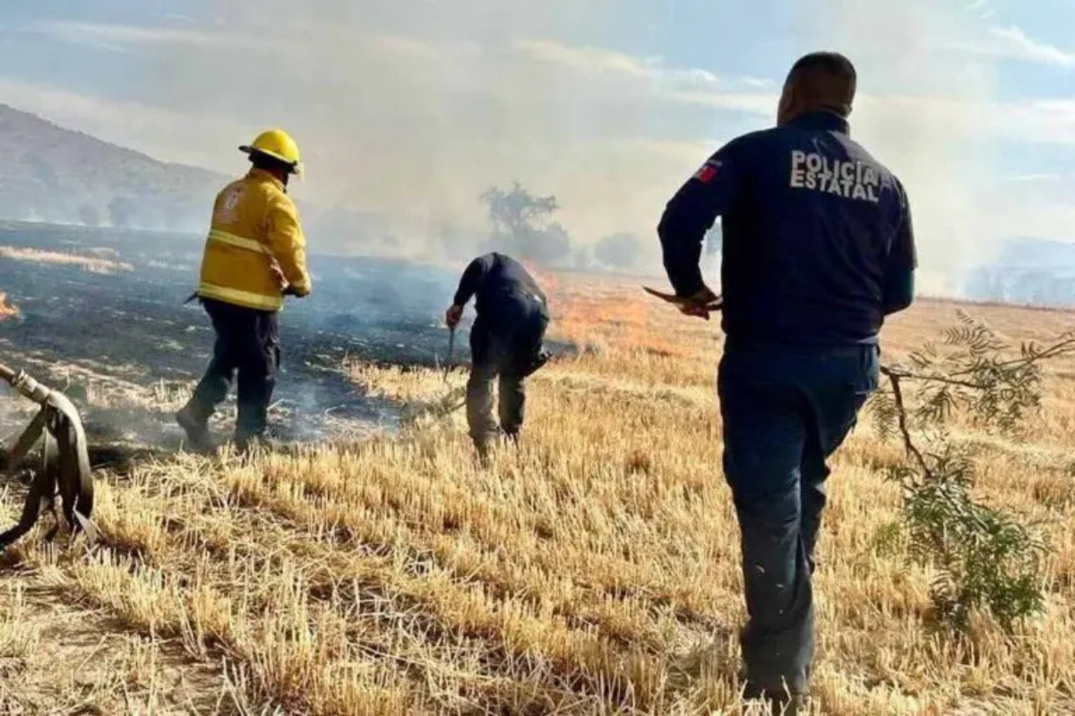Cuando se inicia un incendio, las personas que lo provocan suelen abandonar el lugar, dijo el subsecretario de PC