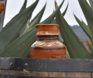 El festival en Tlaxiaca busca preservar la cultura del pulque en Hidalgo con música en vivo.