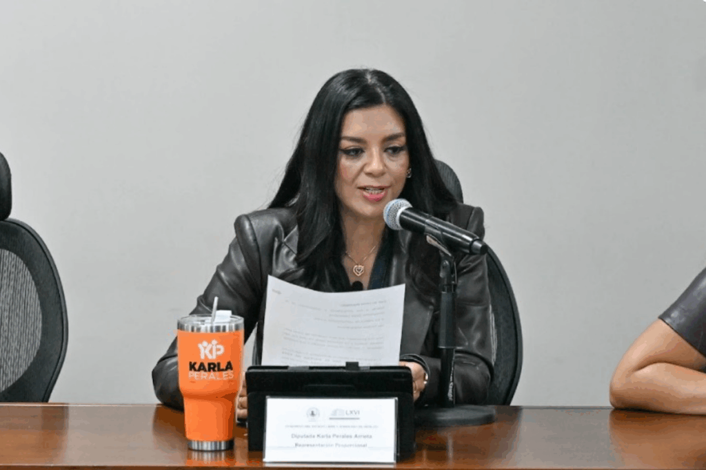 La iniciativa legislativa sobre el reclutamiento de menores genera división en Hidalgo