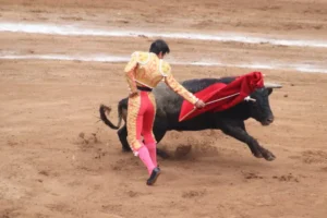 Legisladores analizan promover amparos contra corridas de toros en Hidalgo ante nuevos eventos