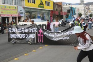 Los activistas realizaron una marcha pacífica en calles de PachucaFoto: Juan Martínez