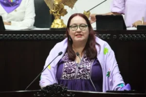 De acuerdo con Tania Meza Escorza, la iniciativa de protección a periodistas en Hidalgo fue elaborada durante casi un año mediante foros de consulta con periodistas, pero finalmente no se registró ante el Congreso