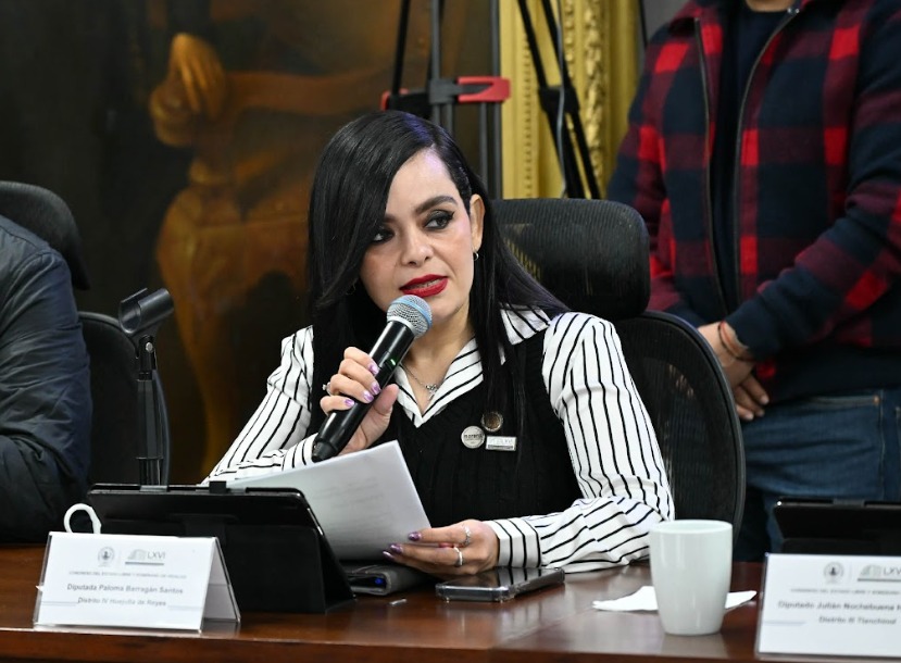 Paloma Barragán Santos, presentó una iniciativa para impedir que personas deudoras alimentarias morosas o con antecedentes de violencia puedan acceder o desempeñarse en cargos públicos