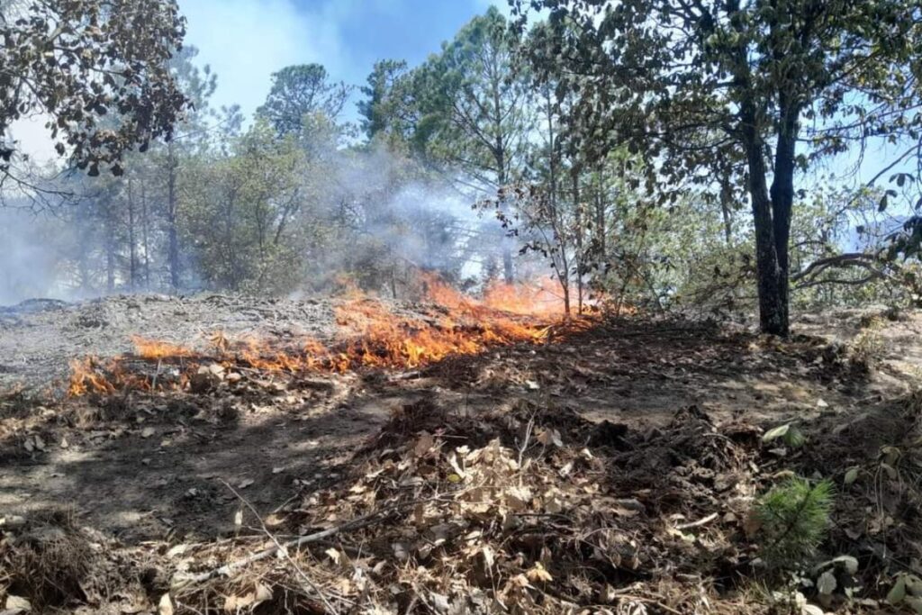 No paran los incendios forestales en Hidalgo; ¿cuántas se registraron hasta fines de febrero?