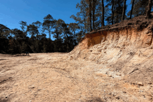 Tras una denuncia ciudadana, autoridades de Profepa inspeccionaron un terreno en Zacualtipán donde encontraron desmonte y derribo de árboles presuntamente para un proyecto de fraccionamiento