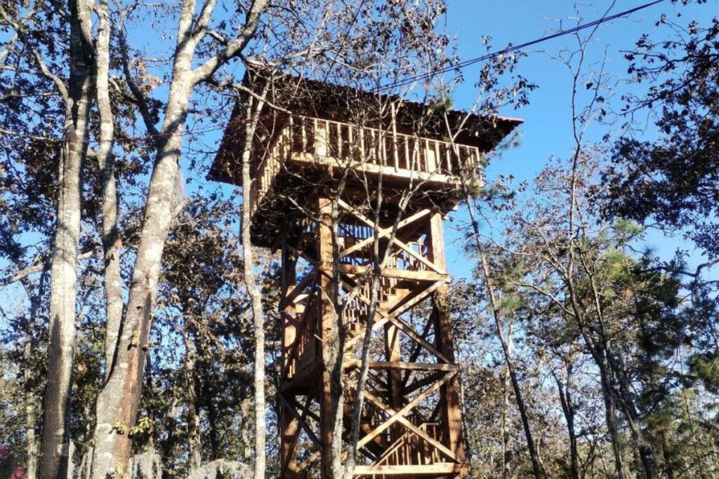 Cerca de Huasca hay un bosque donde puedes hacer senderismo entre rocas y encinos