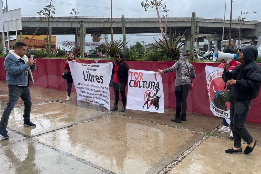 Sacan amparo para suspender corridas de toros en Hidalgo, pero ¿qué opinan defensores de tauromaquia?