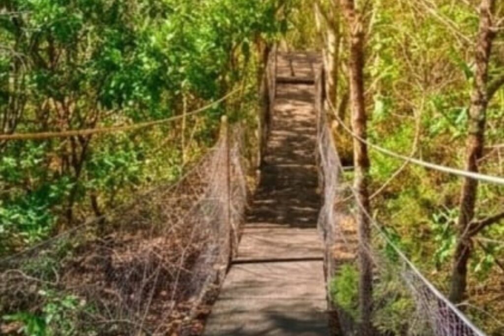 Visita en Real del Monte los jardines y puentes colgantes y sorpréndete por la naturaleza