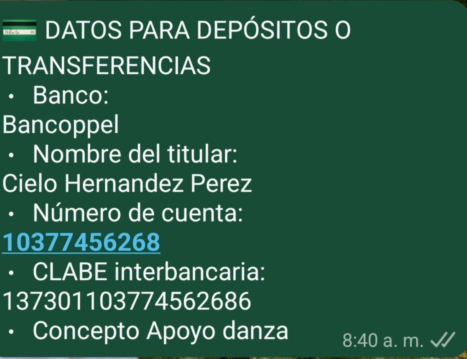 Puedes donar para ayudar a Rayan a acudir a la competencia en Turquía | Foto: Especial