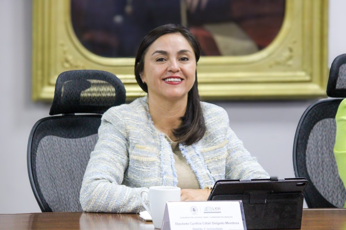 La diputada de Morena Cynthia Citlali Delgado Mendoza explicó que el conflicto se originó por la asignación de recursos | Foto: Luis Godínez