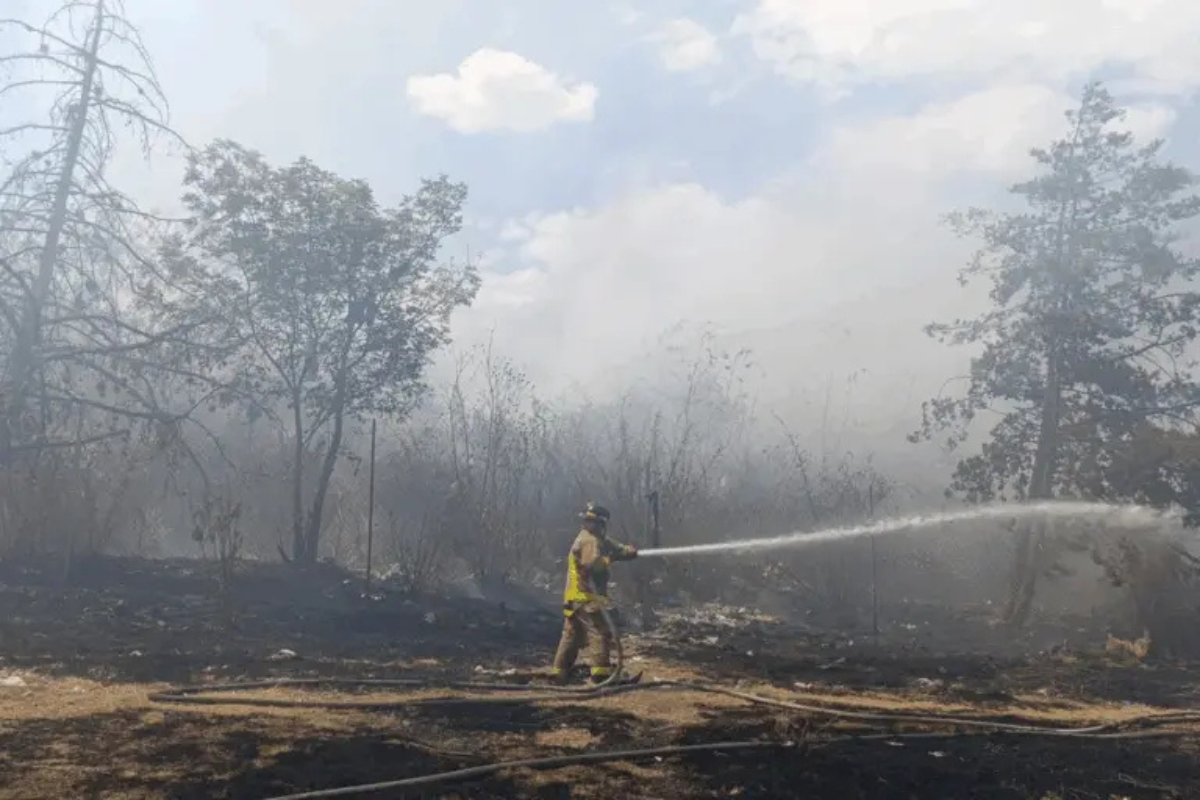 Hidalgo ocupa el octavo puesto a nivel nacional en la incidencia de incendios forestales | Foto: Especial
