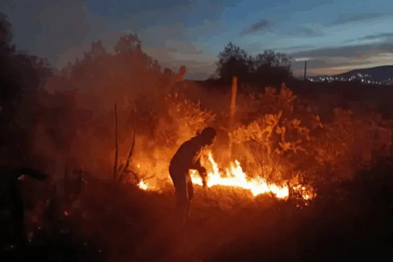 El humo generado por el incendio forestal en San Agustín Tlaxiaca podría afectar la visibilidad y la calidad del aire en distintos puntos del estado.