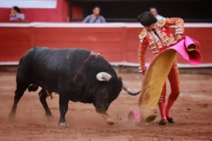 El diputado señaló que la consulta sobre tauromaquia en Hidalgo aún no tiene criterios definidos
