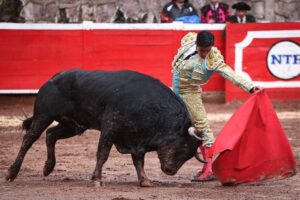 El torero apuesta por su madurez para destacar en la Vicente Segura