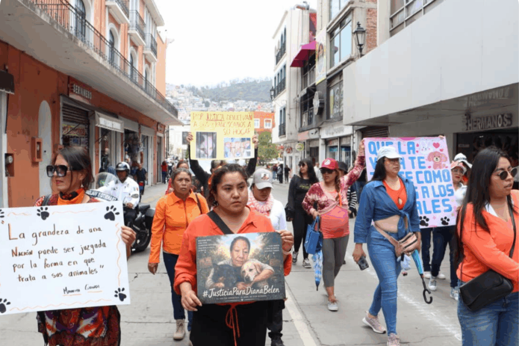 Movilización en Pachuca para exigir justicia y mayor protección para los defensores de los animales en todo el país