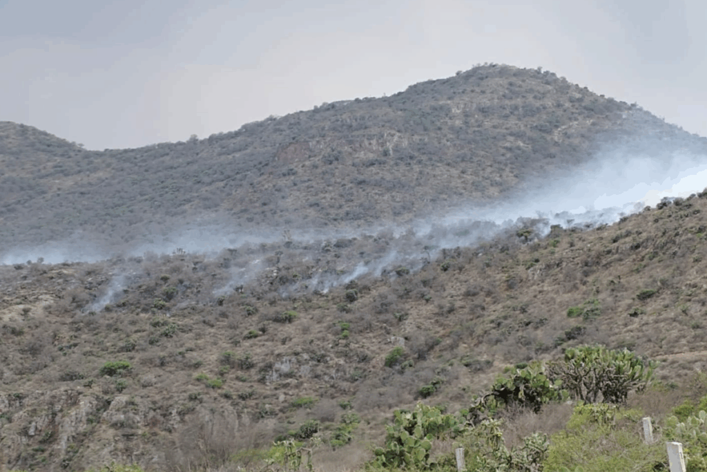 El fuego afectó una zona natural en Actopan