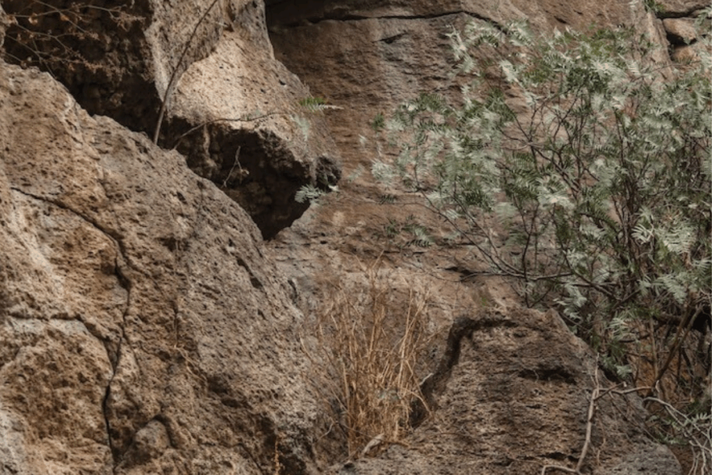Un nuevo hallazgo arqueológico en Hidalgo muestra la relación de las culturas prehispánicas con fenómenos astronómicos 