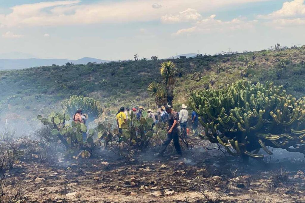 Brigadas de Protección Civil y el H. Cuerpo de Bomberos de Huichapan enfrentaron múltiples incendios 