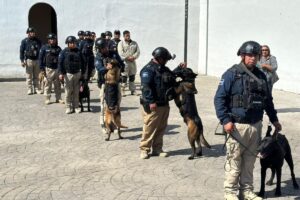 Agentes caninos especializados participan en la búsqueda de personas en Hidalgo