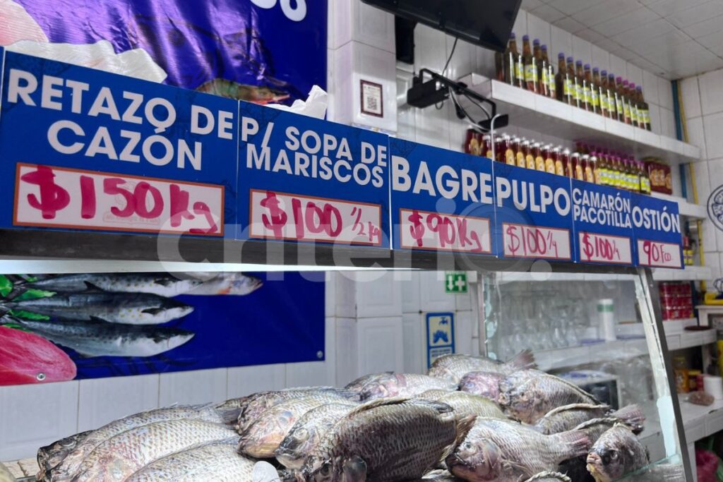 ¿Cuánto cuesta el camarón en Pachuca? Así lo ofrecen varios negocios en la capital