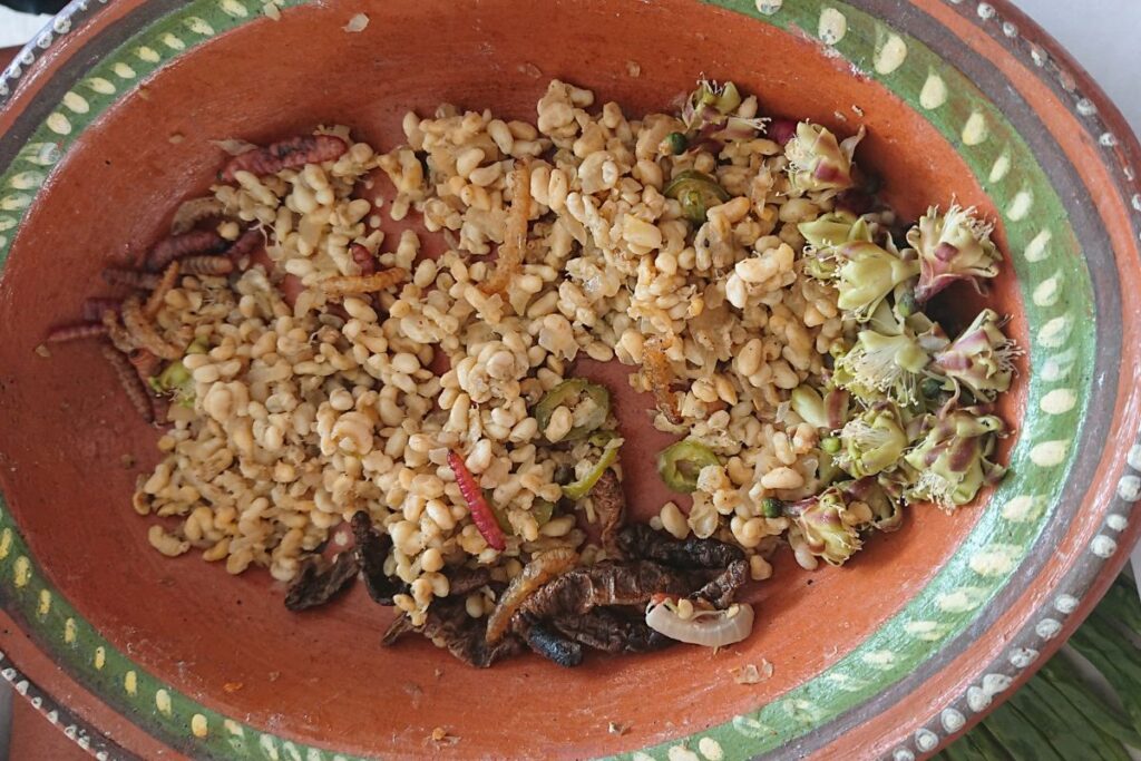 Rescatan en Cardonal la cocina de flores e insectos y ahora harán una recolección