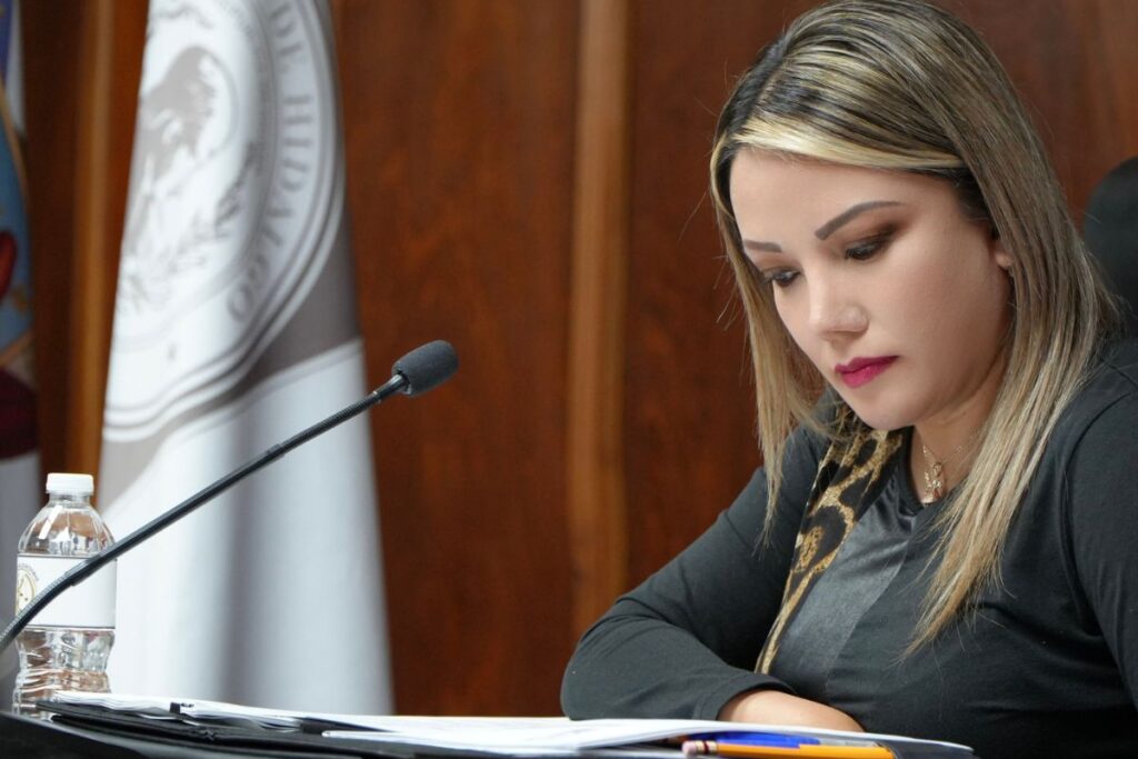 ¿Cuántas aspirantes a consejeras del IEEH cumplieron con los requisitos legales para participar?
