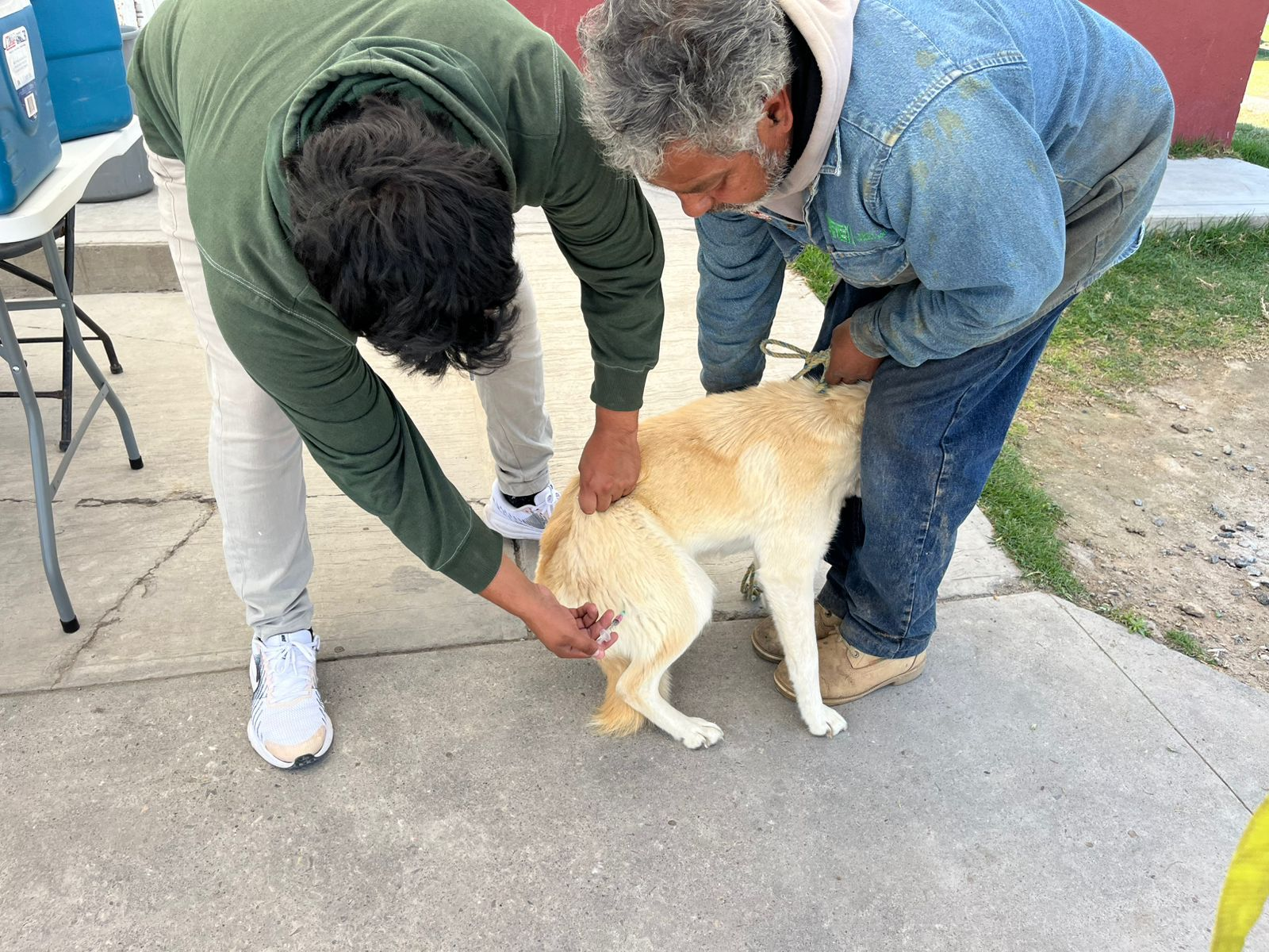 Personal de la dirección de sanidad municipal supervisando la vacunación de mascotas en Tepejí del Río