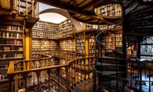 Día Internacional del Libro: una oportunidad para redescubrir el placer de la lectura