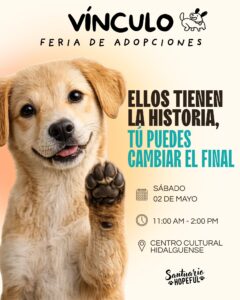 Vínculo: Feria de Adopciones Responsables en el Centro Cultural Hidalguense