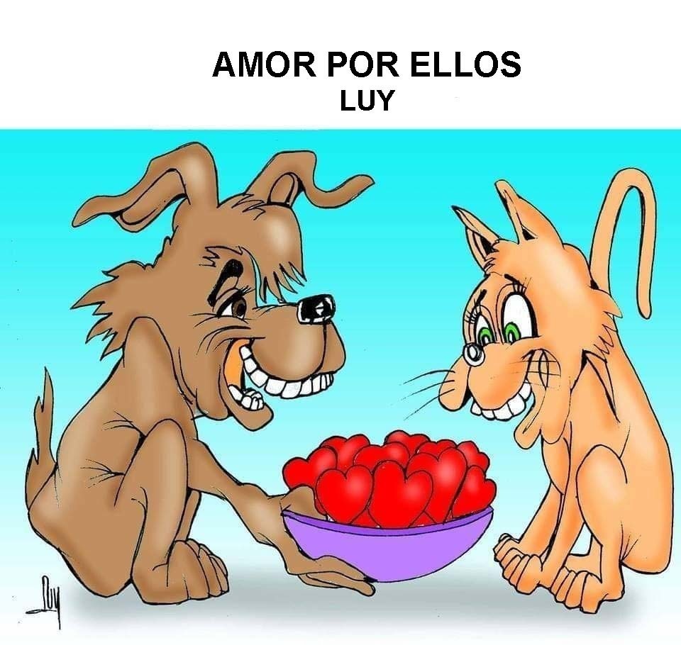 Luy: Amor por ellos
