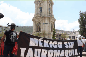 Manifestantes recorrieron calles del centro de Pachuca en rechazo a la consulta sobre corridas de toros