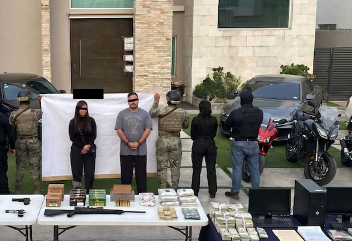Autoridades federales aseguraron siete tigres durante cateos en propiedades vinculadas con una presunta red criminal